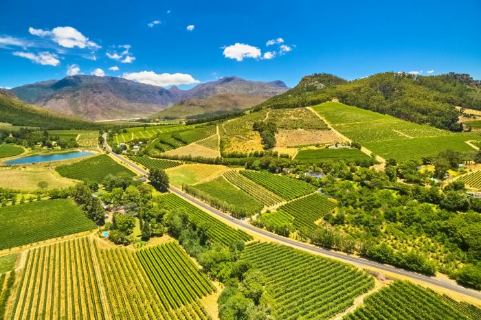 Full Day Winelands Tour
