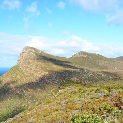 CAPE OF GOOD HOPE