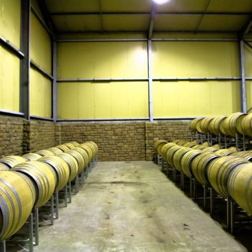 A wine cellar with two rows of wooden barrels lined up on metal racks. The room has brick walls and a high ceiling, with soft overhead lighting.