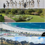 Day 16- Peninsular Full Day Tour