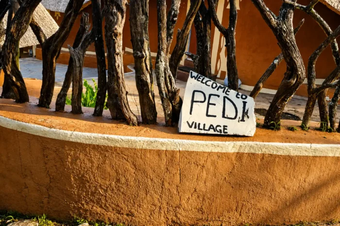 Cradle of HumanKind Tour & Lesedi Cultural Village
