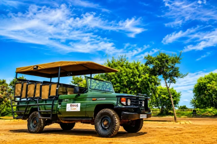 Johannesburg Safari – Rhino and Lion Tour