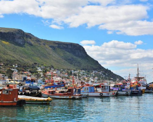 camps bay A scenic harbor with colorful fishing boats anchored on calm water invites you to start your Cape Peninsula tour. In the background, a hillside covered with greenery and a small seaside town are visible under a partly cloudy blue sky.