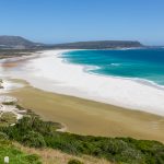 Cape Peninsula & Cape Winelands Tour in 2 Days with Africa Moja Tours & Safaris