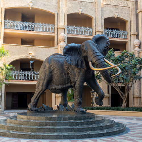 why winter is the right time for small group tours to South Africa