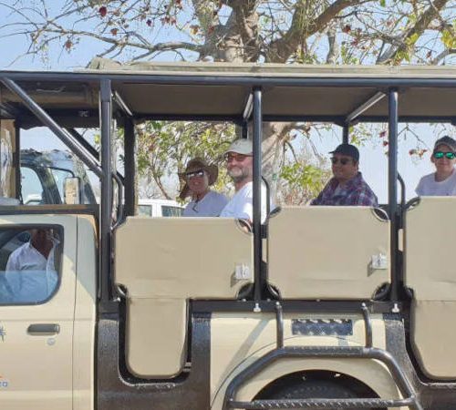 Kruger National Park Safaris from Johannesburg
