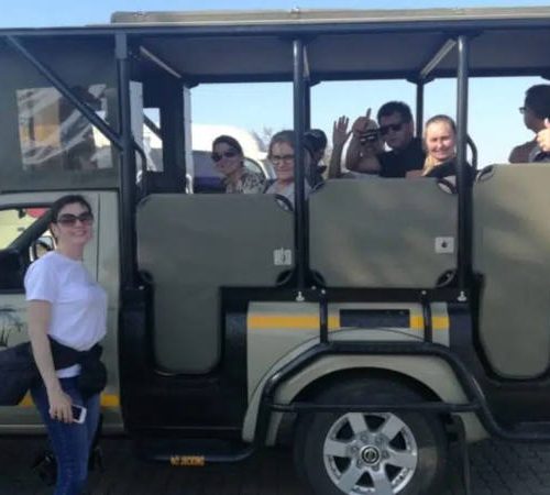 Open Vehicle Safari