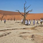 Namib-Naukluft National Park
