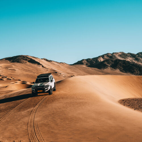tours and safaris namibia