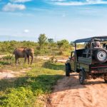 A safari jeep with empty seats is parked on a dirt road, observing an elephant grazing on green vegetation under a clear blue sky in a savanna landscape.