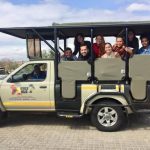 Kruger safari with Victoria Falls