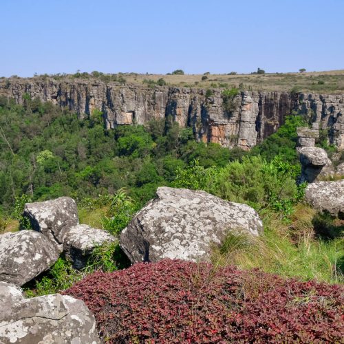 A scenic view of a rocky cliff with dense green trees on a clear day. In the foreground, large gray boulders are surrounded by patches of red and green foliage under a bright blue sky.