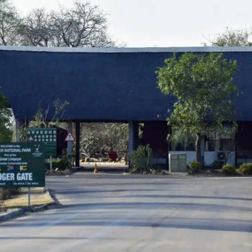 Entrance gate to Kruger National Park, with a green sign displaying park information. Surrounded by trees and bushes, the road leads to the gatehouse under a large, thatched roof.