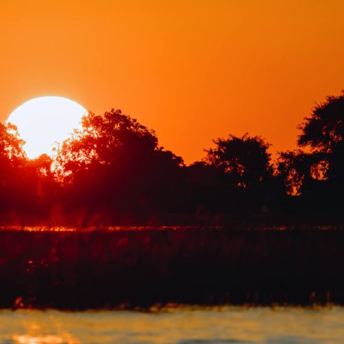 Botswana safari tours