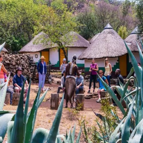 A group of people sits and stands around a person in traditional attire, immersed in a captivating performance or speech. Set against the backdrop of African huts and lush greenery at Lesedi Cultural Village, large succulent plants frame this vibrant scene.