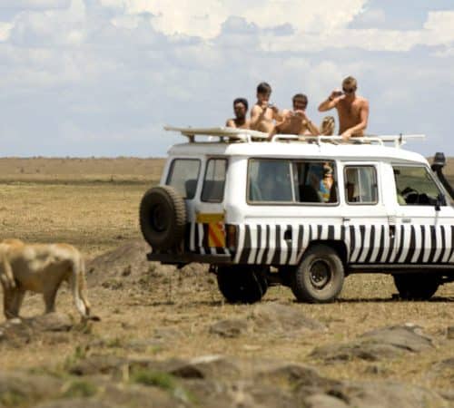 Game Drive Masai Mara