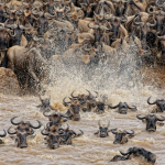 kenya Great Rift Valley