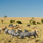 the great rift valley kenya