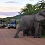 4 Day Sun City & Pilanesberg Safari Extravaganza with Africa Moja Tours & Safaris