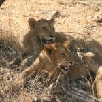 WhatsApp Image 2025 08 01 at 14.07.01