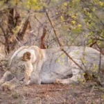 0L6A8640 600x400.jpg