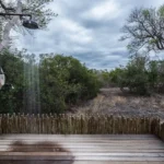 Bush Lodge Luxury Villa Outside Shower