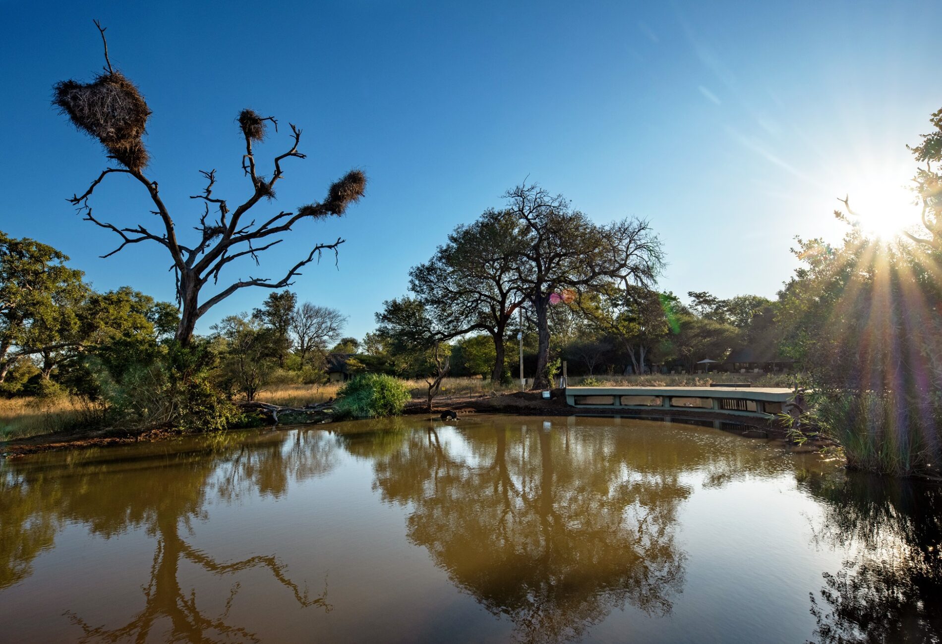 Hide from water 2 1900x1300 1