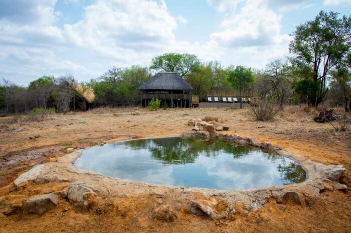 KwaMbili Safari Lodge Images 79 of 128 1