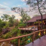 Madikwe River Lodge 24