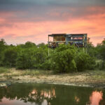 simbavati river lodge timbavati game reserve