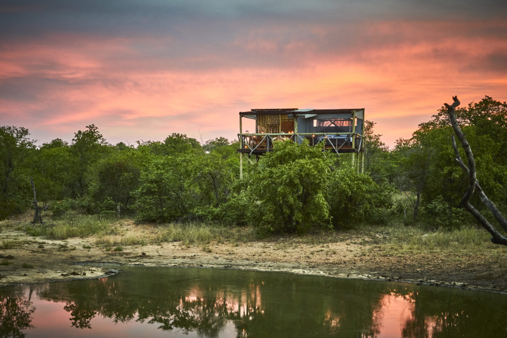simbavati river lodge timbavati game reserve
