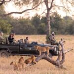 Pravir Patel Queens blog 1