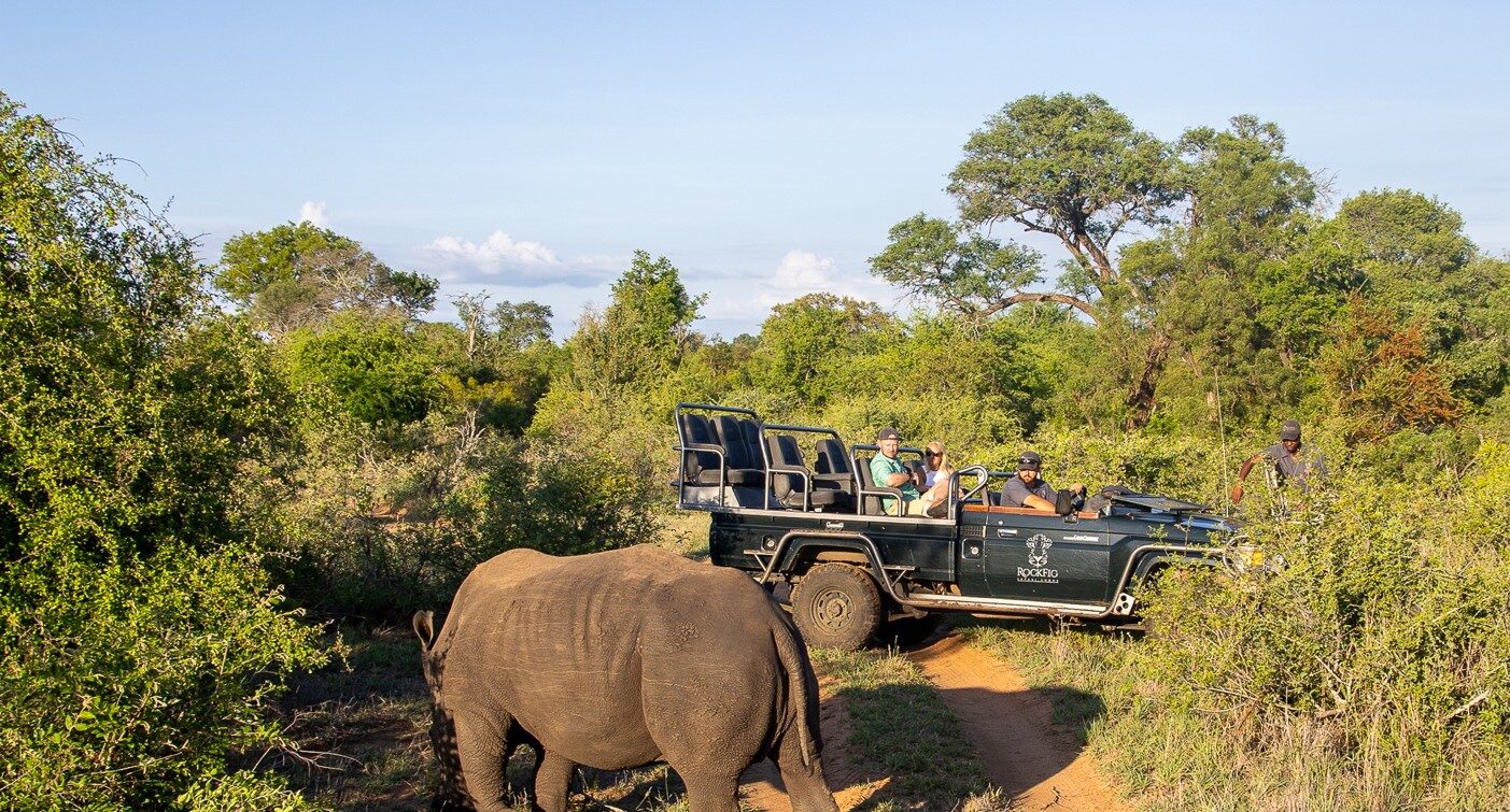 RockFig Safari Lodge Safari e1764150468807