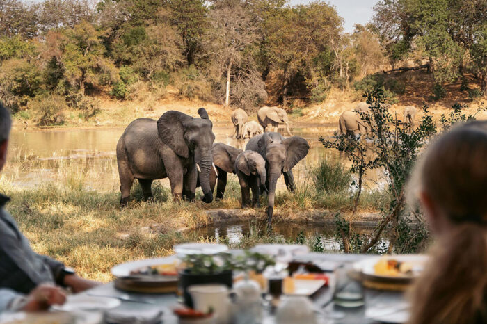 Simbavati River Lodge