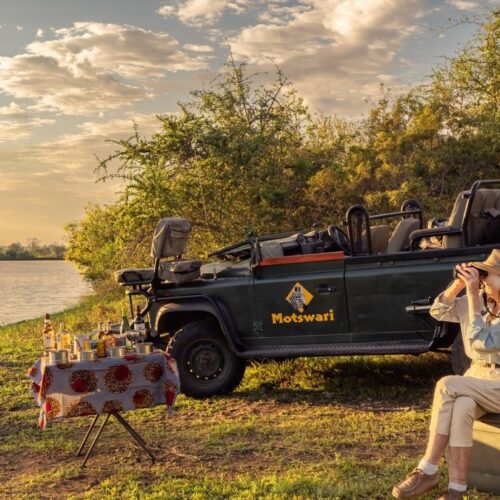 timbavati wildlife park