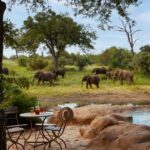 motswari private game reserve