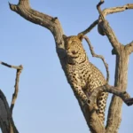 dreamstime s 196736703 600x401.jpg