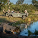 Big five game drive