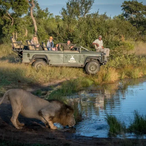 Big five game drive