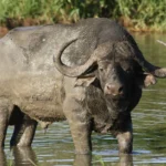 img 0307 emily whiting