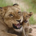 img 0814 emily whiting