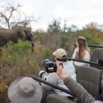 thornybush game lodge south africa