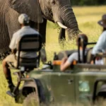 rsw 1200h 1600cg true 1