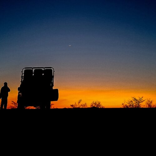 Luxury safari South Africa