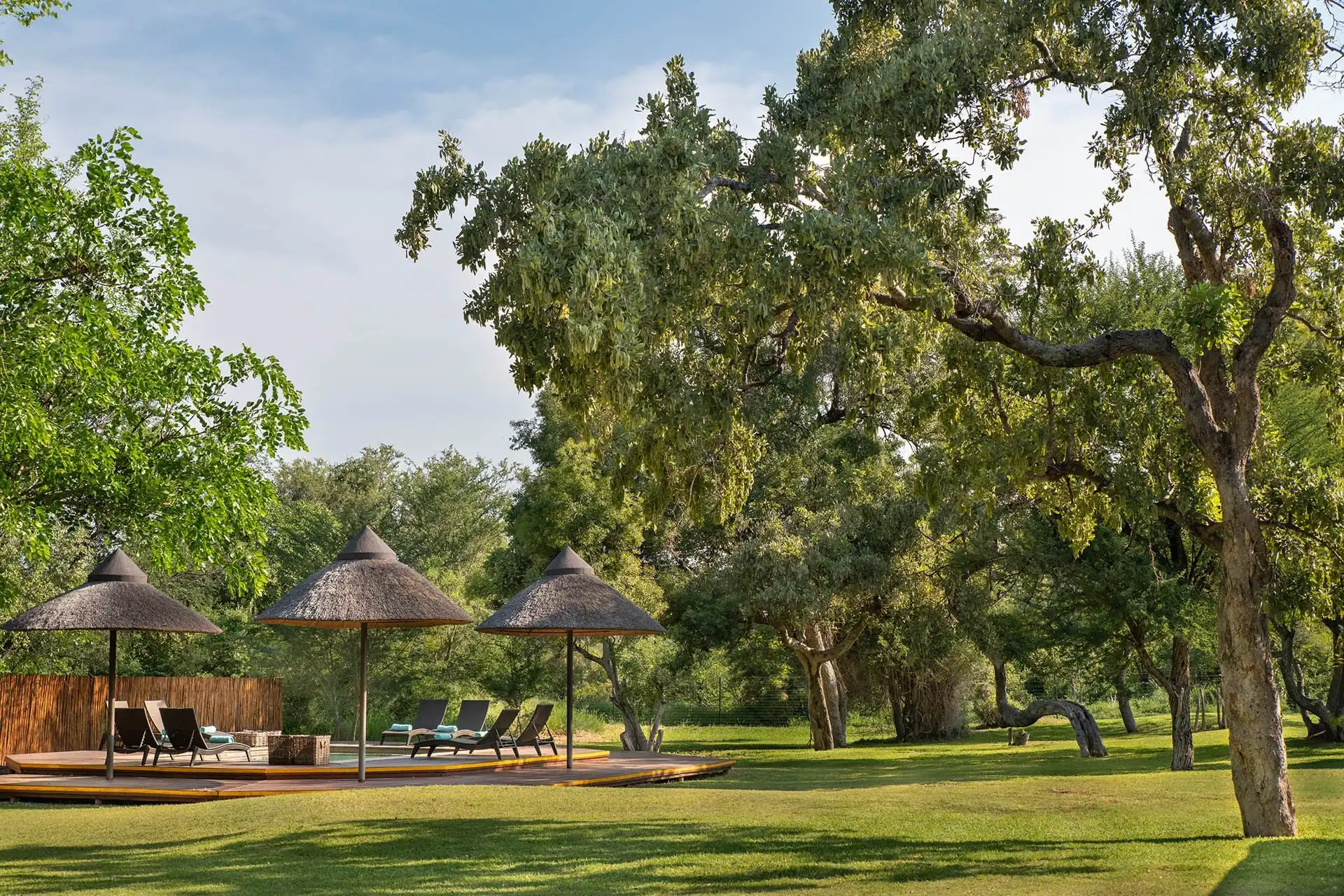 luxury african safari