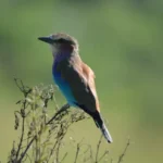 umoya eIvJlIfOIZaESiW9RW3kyLW7mqUUMXNU4707DdkT