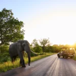 25.01.24 KGH Safari 010