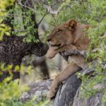 AA8I2611 2 1536x1024 1