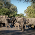 Nkuhlu Tented Camp 45