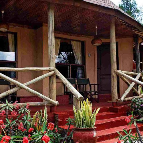 Masai Mara safari tours - 3 Day Masai Mara Safari from Nairobi